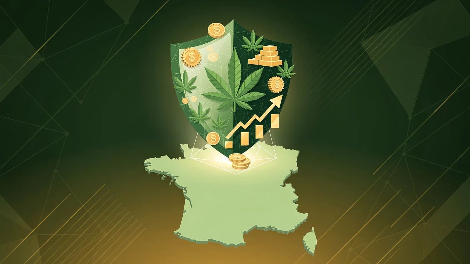 Assurance Professionnelle CBD Chanvre
